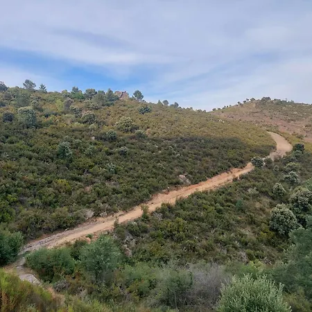 Chalet Peonias